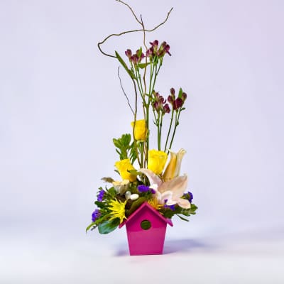 I’ll Fly Away Bird House