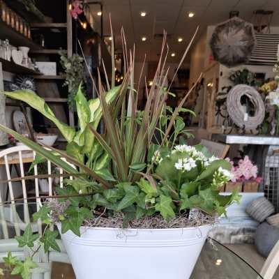 Mixed green planter with white flowers in a white container