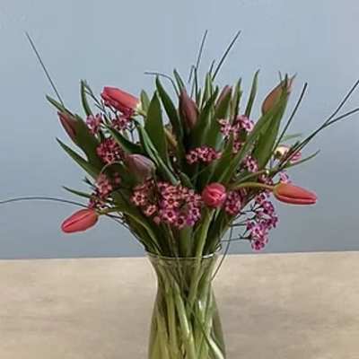 "Say I Love You" Tulips