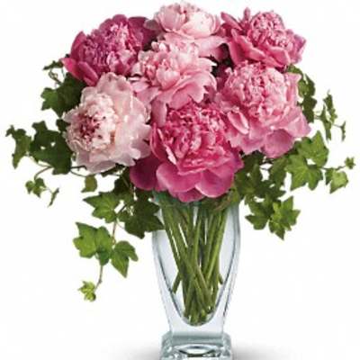 Pink peonies in a clear glass vase with trailing greenery
