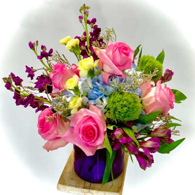 Spring has Sprung Standard