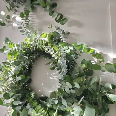 Pair of lush eucalyptus wreaths hanging on a light-colored wall