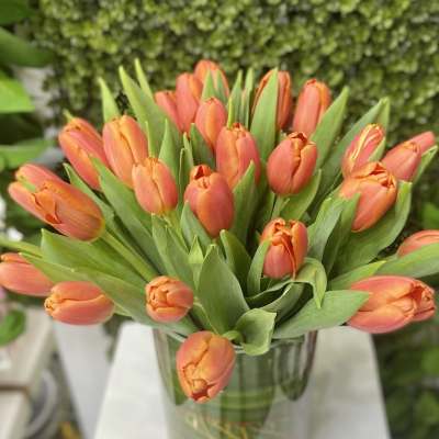 Bouquet of orange tulips arranged in a clear glass cylinder vase