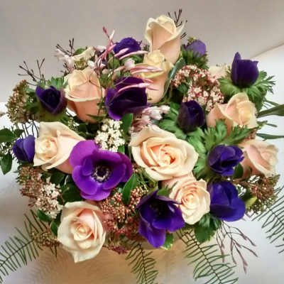 Round arrangement of peach roses and deep purple anemones with airy filler on a white background