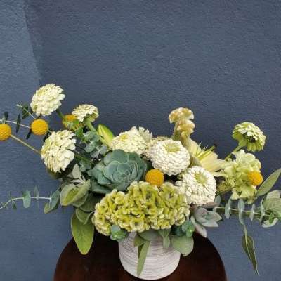 Low arrangement of white blooms, green succulents, and yellow accents in a white pot against a dark wall