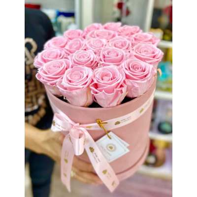 Round pink box filled with tightly packed light pink roses and tied with a printed ribbon.