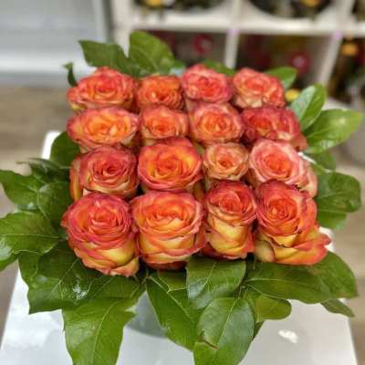 Low arrangement of orange yellow roses tightly packed in a square framed by glossy green leaves