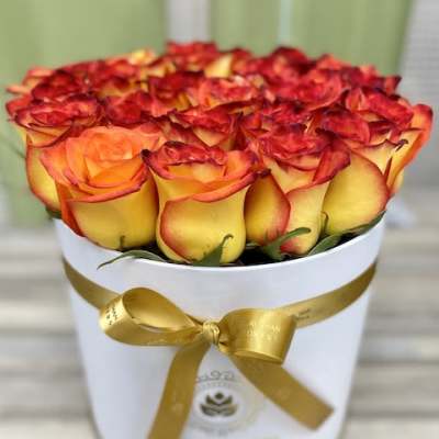 Round box of yellow and orange-red roses with a gold ribbon bow on a white container
