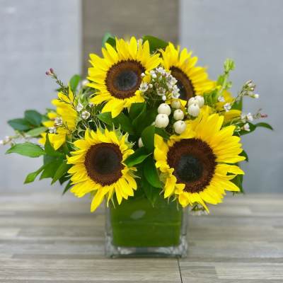 Yellow sunflower arrangement with white berries in a square glass vase