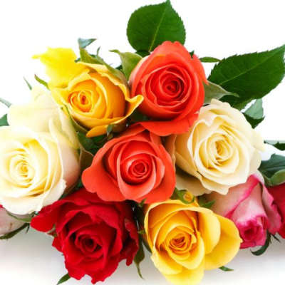 Assorted roses in red, pink, yellow, and white
