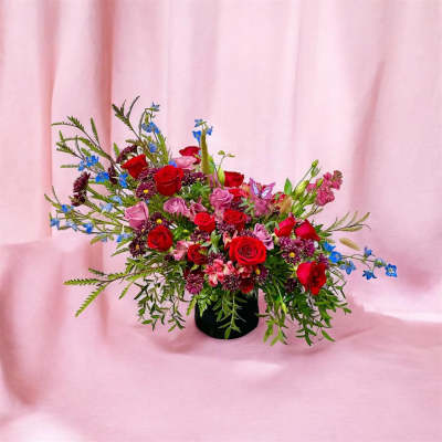 Asymmetrical arrangement of red and pink roses with blue accents in a black vase on a pink backdrop