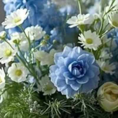 Blue and white flower arrangement with daisy-like blooms