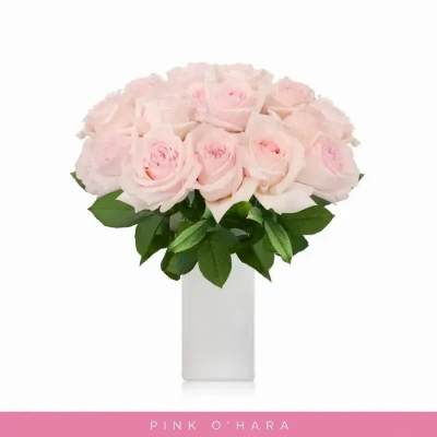 Bouquet of pale pink roses in a white vase
