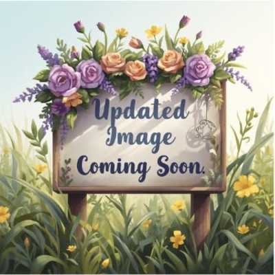 Wild Garden (Being Updated for Spring)