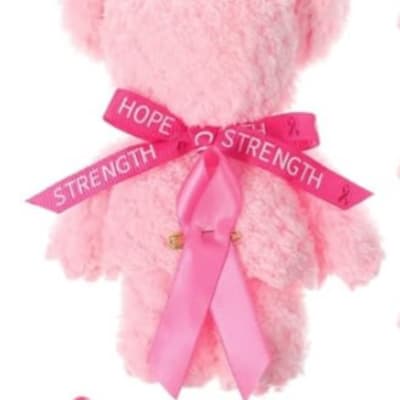 Pink teddy bear with a ribbon that says hope and strength
