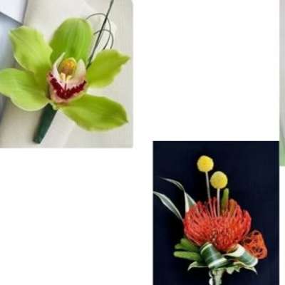 Two small floral boutonnieres, one green orchid and one red pincushion bloom