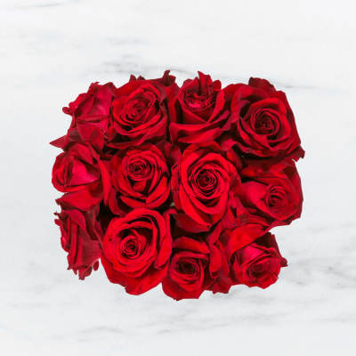 Radiant in Red by BloomNation™