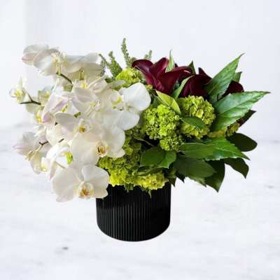 Arrangement of white orchids, green hydrangeas, and dark calla lilies in a black ribbed vase