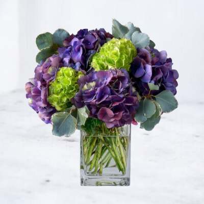 Purple and green hydrangea bouquet in a clear glass vase