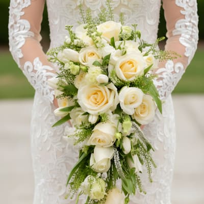 Bride holding a cascading bouquet of white and cream roses with greenery