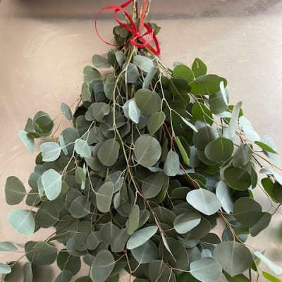Bundle of fresh eucalyptus stems tied with a red ribbon