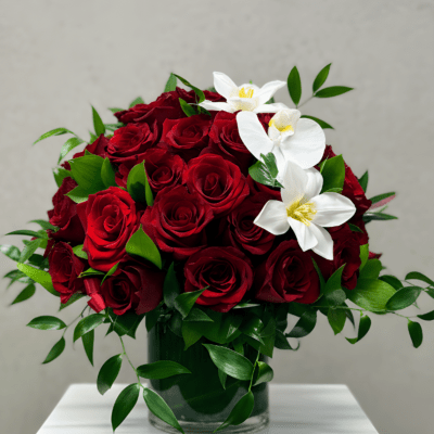 Rouge Éternel Grand Dome