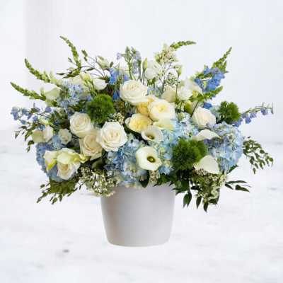 Blue Skies & Sunshine