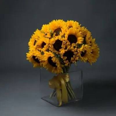 Suny day in the vases