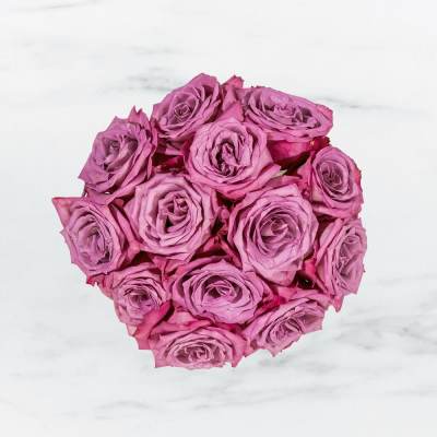 Enchanted Love by BloomNation™