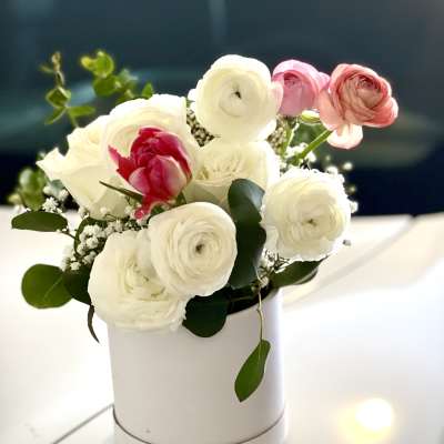White and pink ranunculus arrangement in a white box