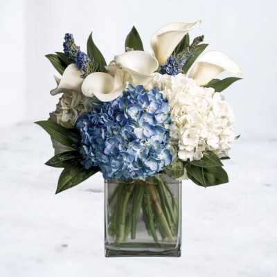 Low arrangement of blue and white hydrangeas with white calla lilies in a clear glass cube vase