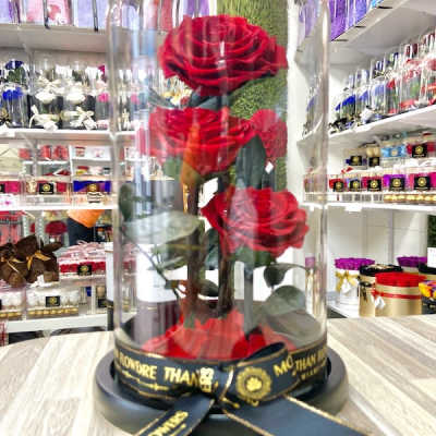 Red roses displayed under a glass dome on a black base with a ribbon, set on a wooden tabletop.