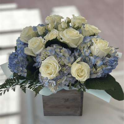 Sail Away by BloomNation™