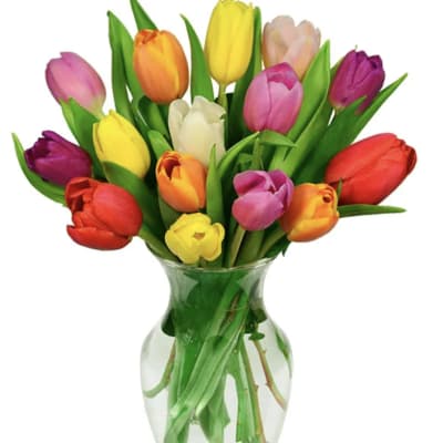 Colorful tulips arranged in a clear glass vase