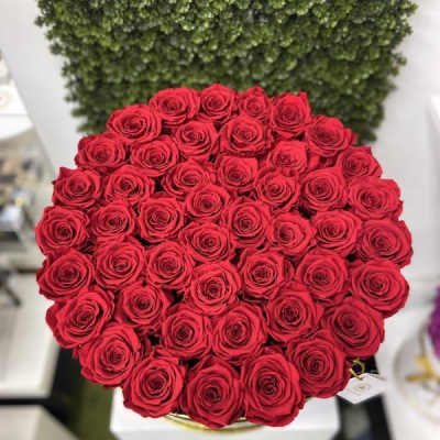 Round hatbox arrangement of tightly clustered red roses viewed from above