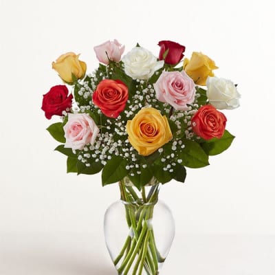 1 Dozen Multicolored Roses