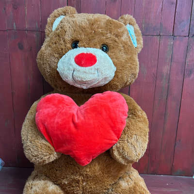 Brown teddy bear holding a red heart plush