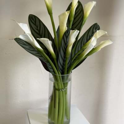 White calla lilies in a clear glass vase with dark patterned leaves.