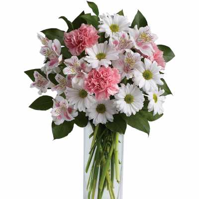 Pink carnations and white daisies in a clear glass vase
