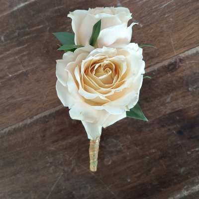 Two cream roses with small green leaves on a wrapped stem