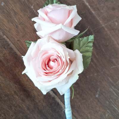 Two pale pink roses with green leaves on a wrapped stem
