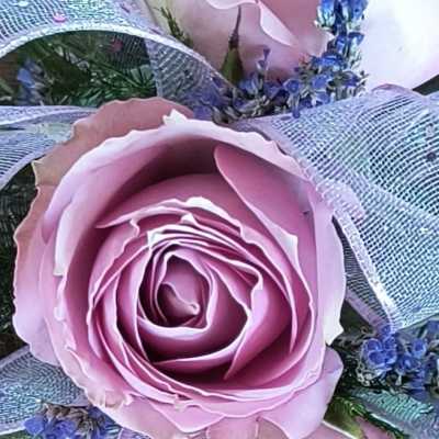 Pink roses wrapped in silver mesh with small blue filler flowers