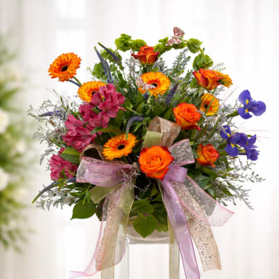 Dish Garden Of Color