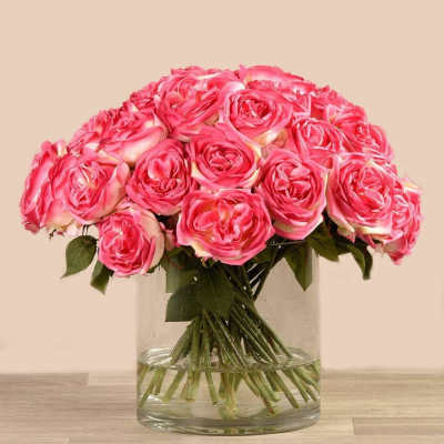 Pink Elegant Statement