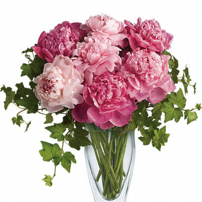 Pink peonies arranged in a clear glass vase with trailing ivy