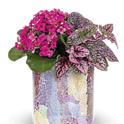 Teleflora's Blushing Duo