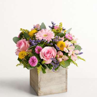 Spring Sentiment Medley