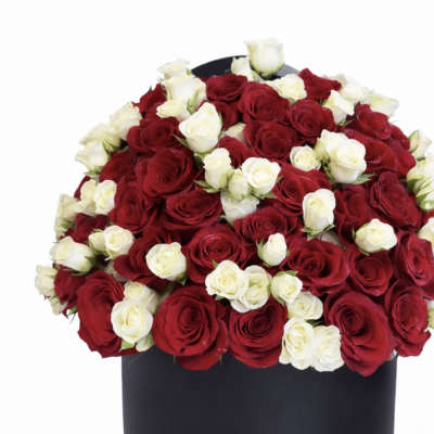 Red and white roses arranged in a black box