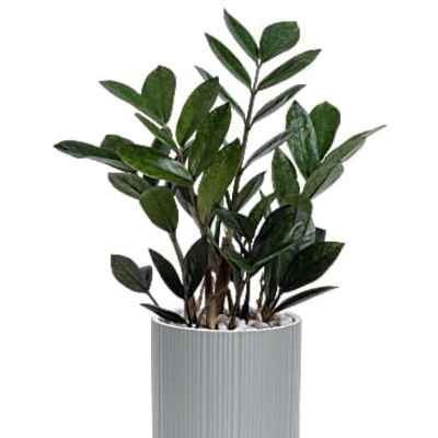 Teleflora's Mid-Mod Classic