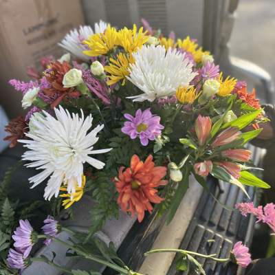 Basket basquiat heart break